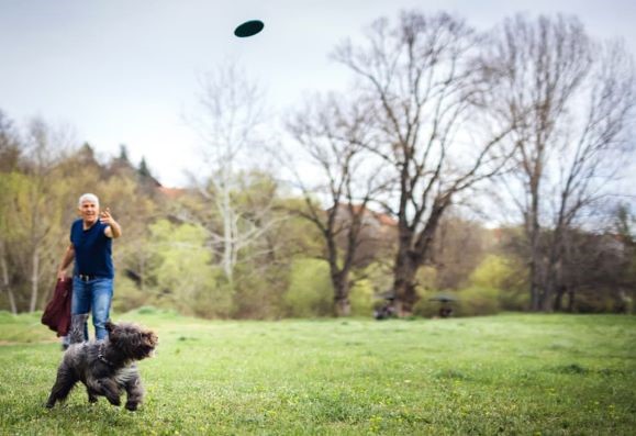 man-playing-frisbee-with-dog-in-park-579x397.jpg