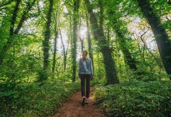 girl-walking-on-leafy-forest-path-579x397.jpg